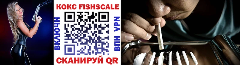 Cocaine Fish Scale  Купить закладки  Нягань 