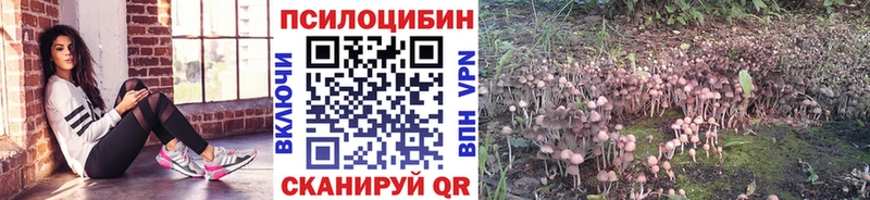 Псилоцибиновые грибы мицелий  Купить  Нягань 